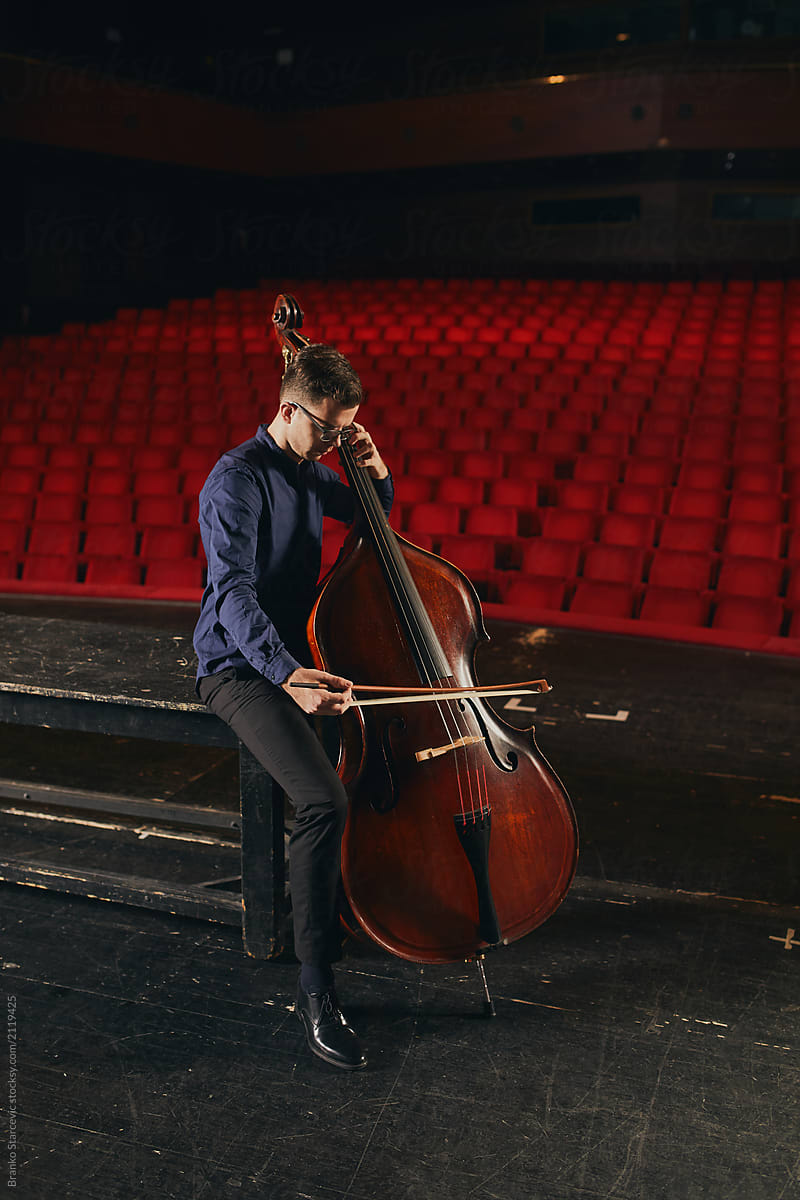 Musician playing Double bass on stage