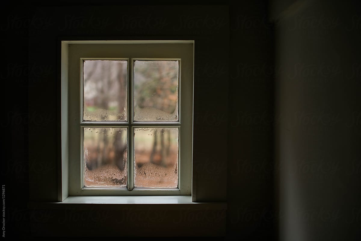 Frosty Vermont Window