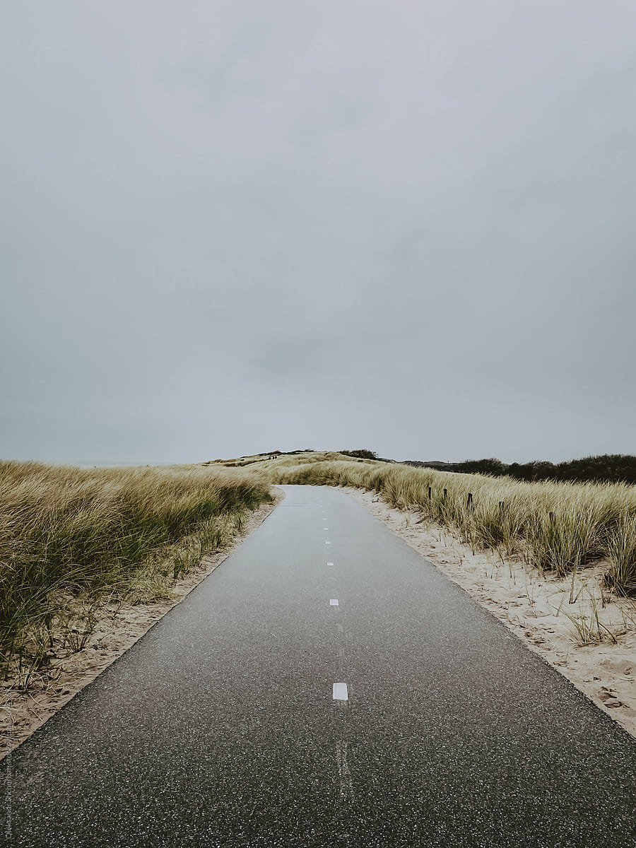 Empty road near ocean with high grass on sides in moody weather