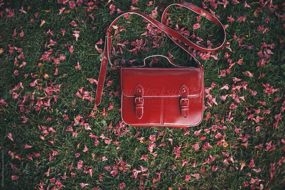 Little red satchel