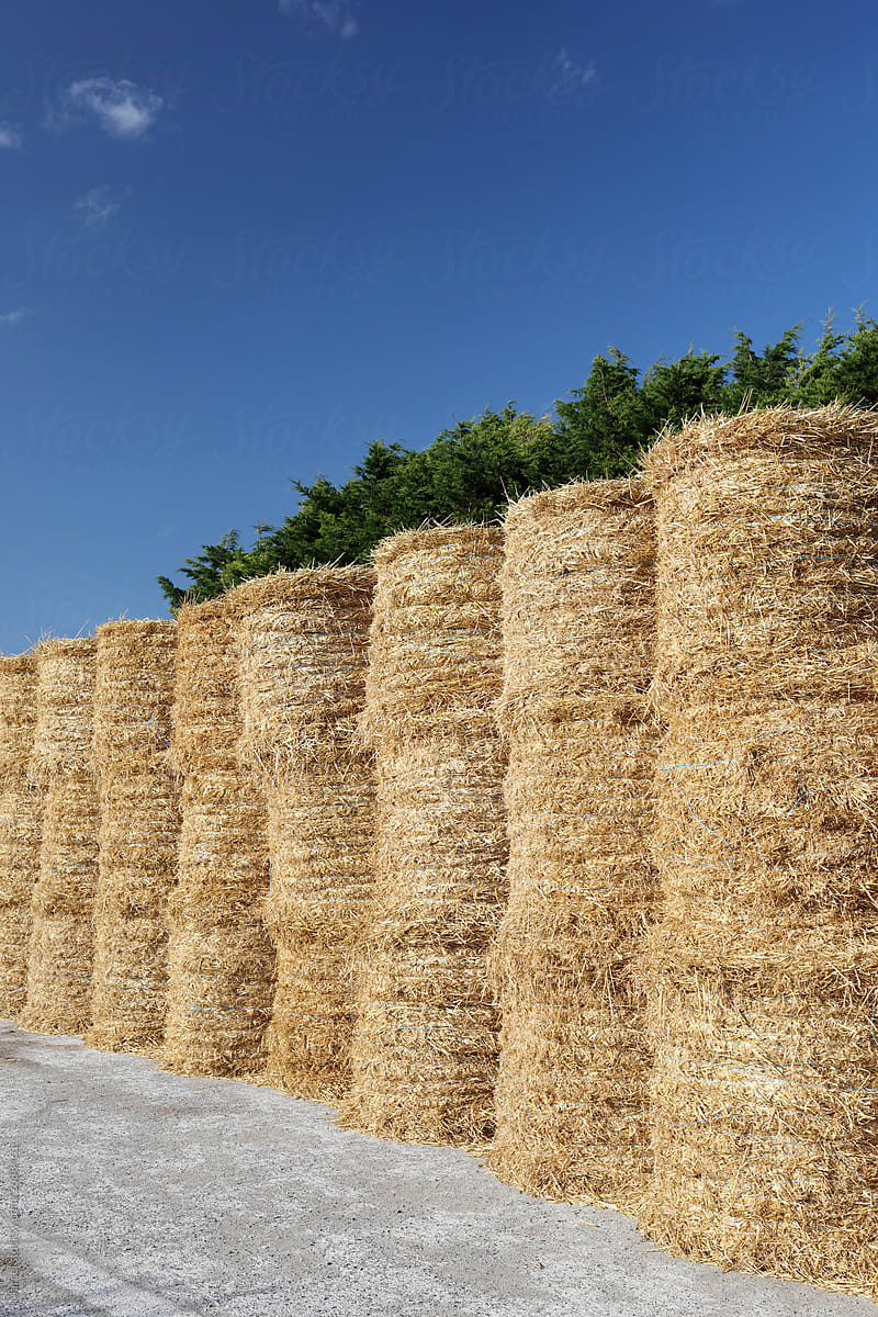Stored hay bales in the sun