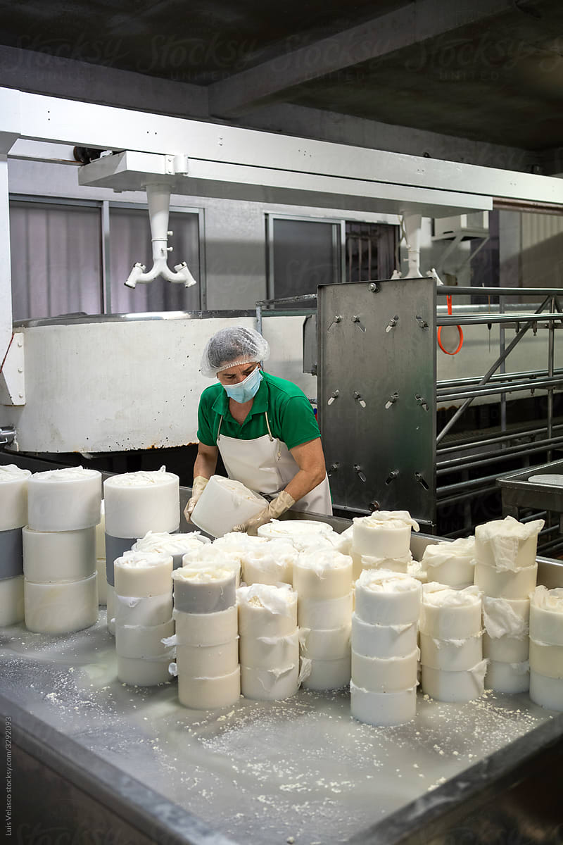 Woman Working In A Cheese Factory.