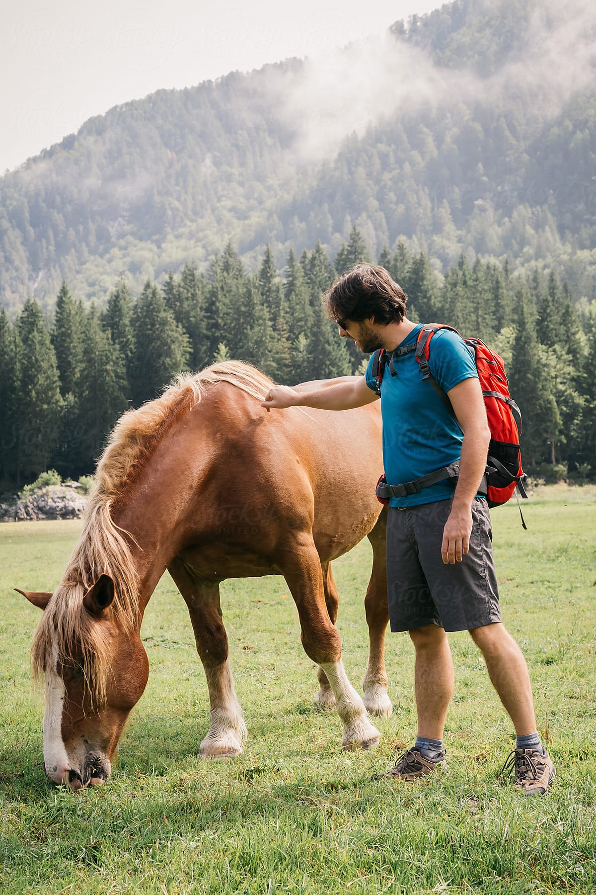 Man strokes a free horse in nature