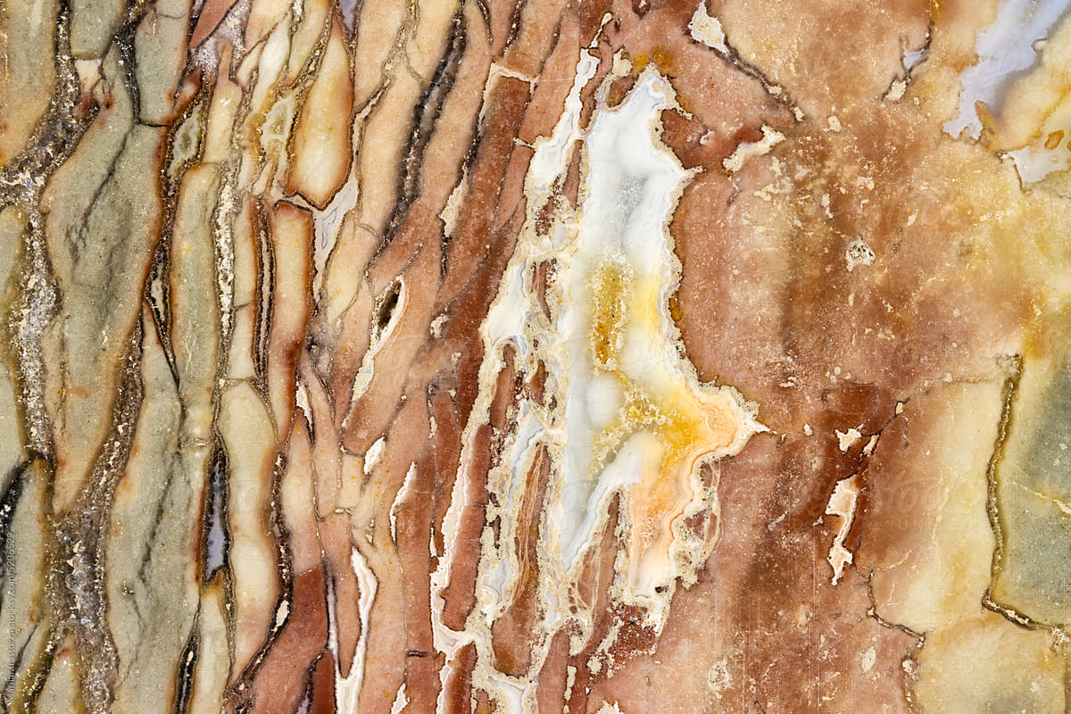 Closeup Of A Cut And Polished Piece Of Ibis Jasper