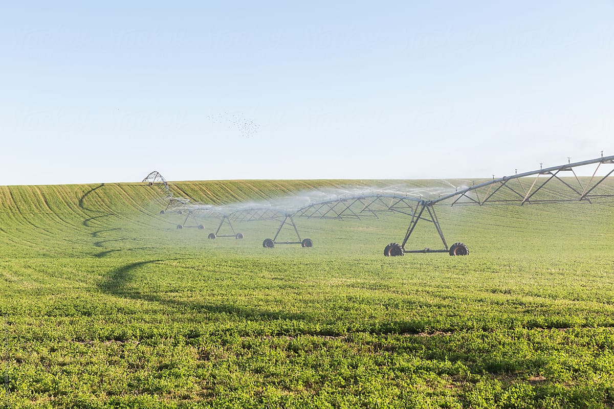 Agricultural sprinkler spraying water on a field