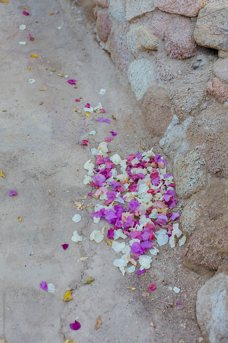 Dusty road with scattered flower petals