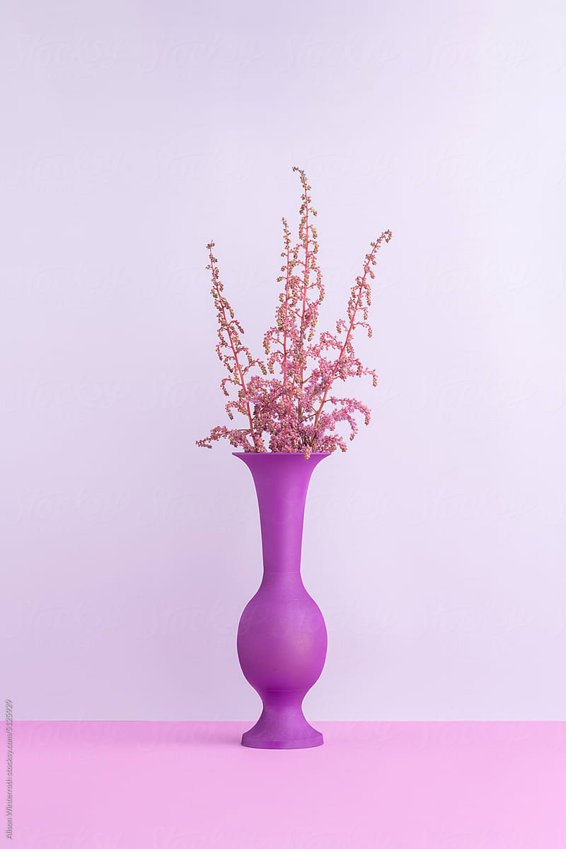 Purple astilbe on monochrome still life