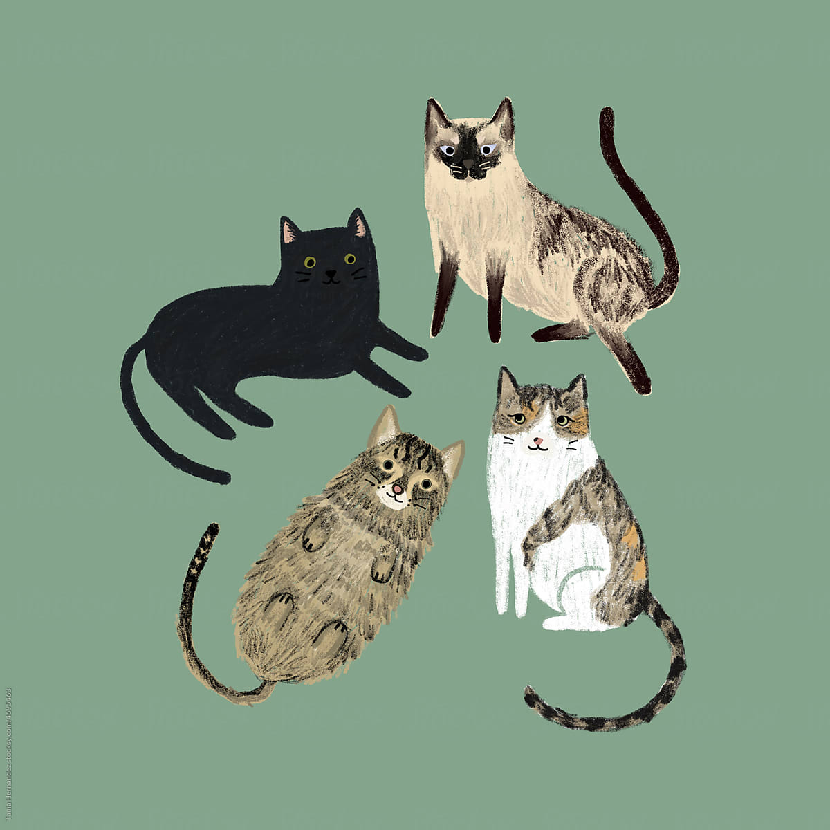4 CATS IN GREEN