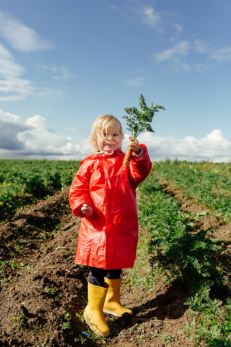 Funny kid in red raincoat showing dirty carrot in field