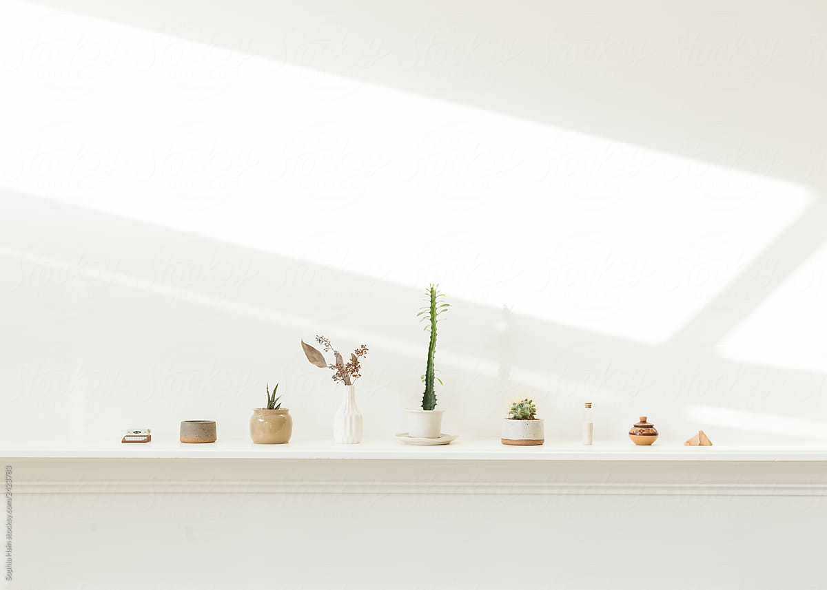 Ceramics and potted plants on shelf