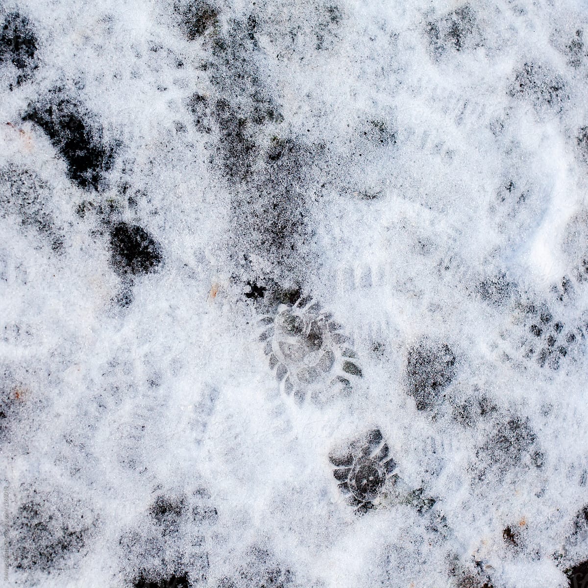 Overhead shot of foot prints in the snow.