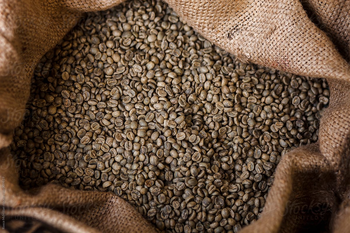 Coffee Beans at a coffee roaster