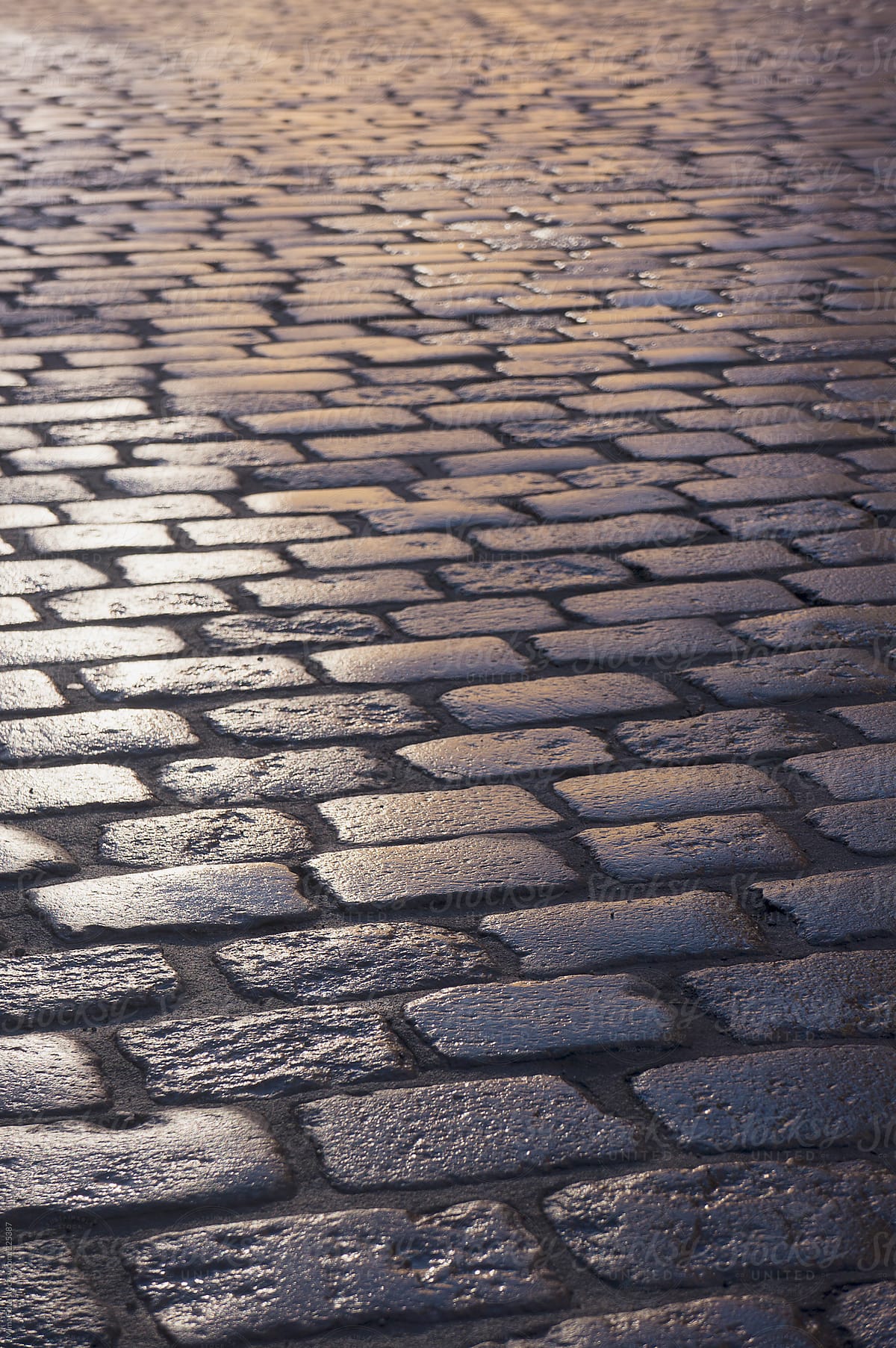 Cobblestone road, wet, backlit from the sunset