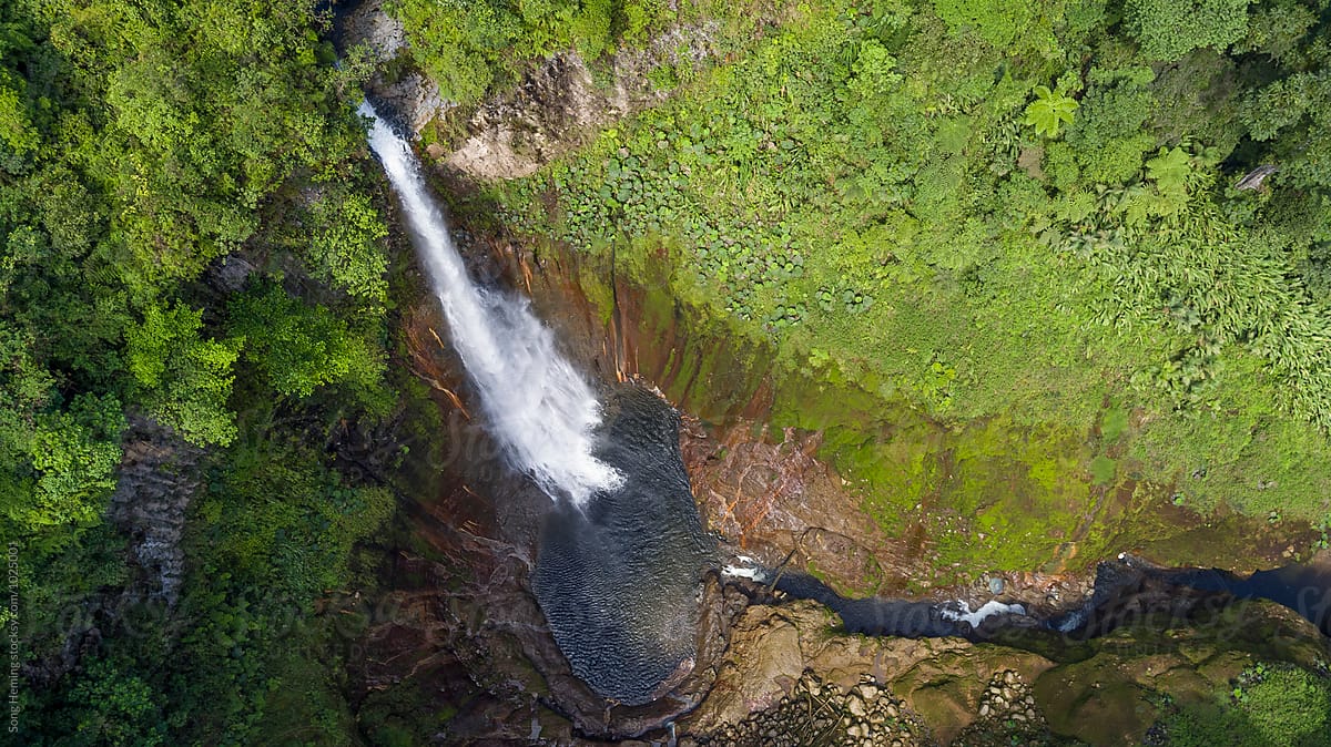 Aerial view of waterfall in the rain forest