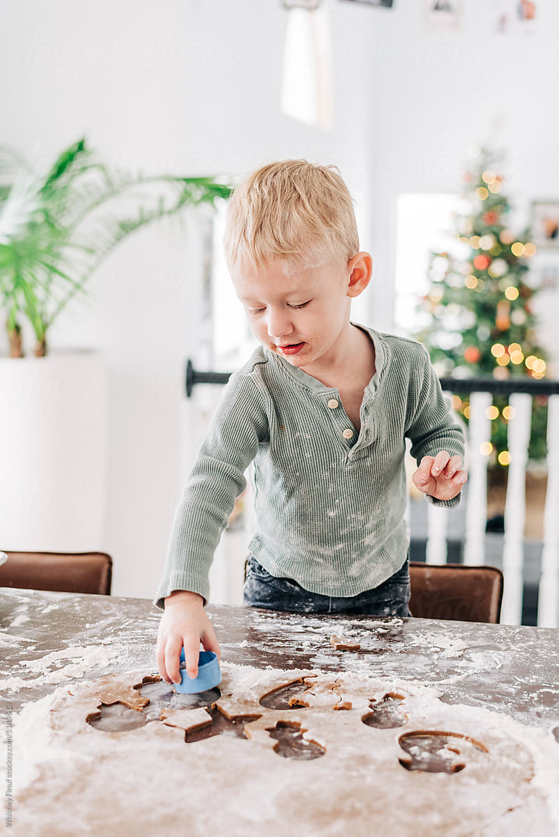 A blonde toddler boy carefully cuts out a gingerbread cookie