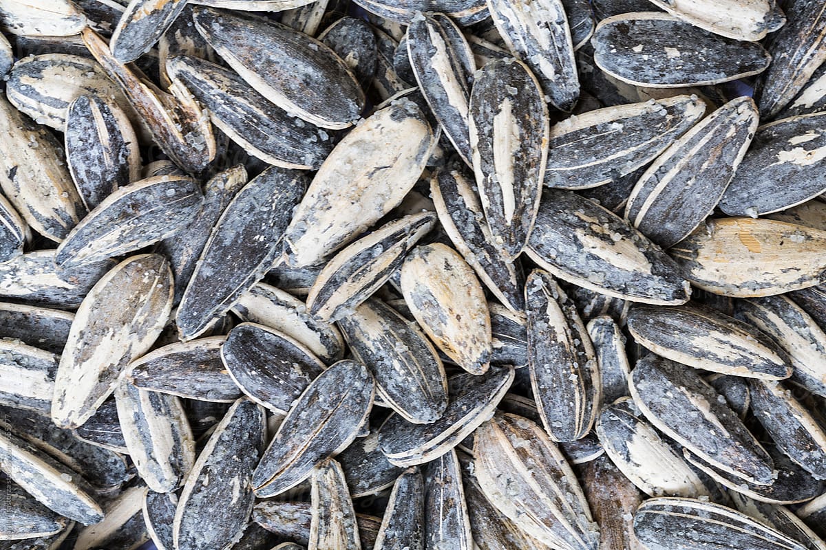 Roasted salted sunflower seeds background