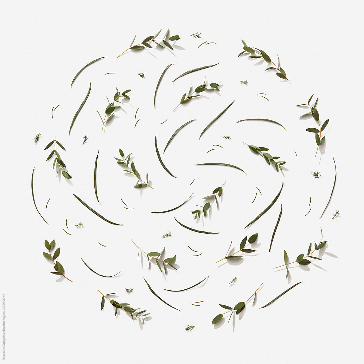 Pattern of green leaves in the shape of a circle
