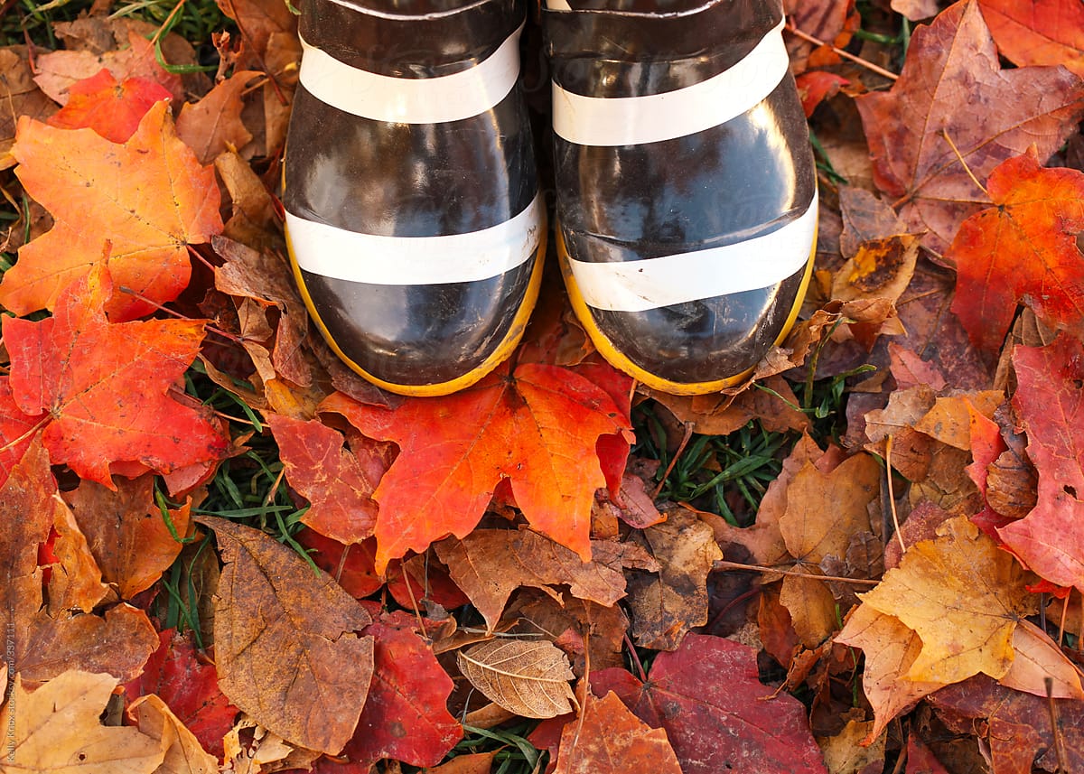 child\'s boots in brightly colored autumn leaves
