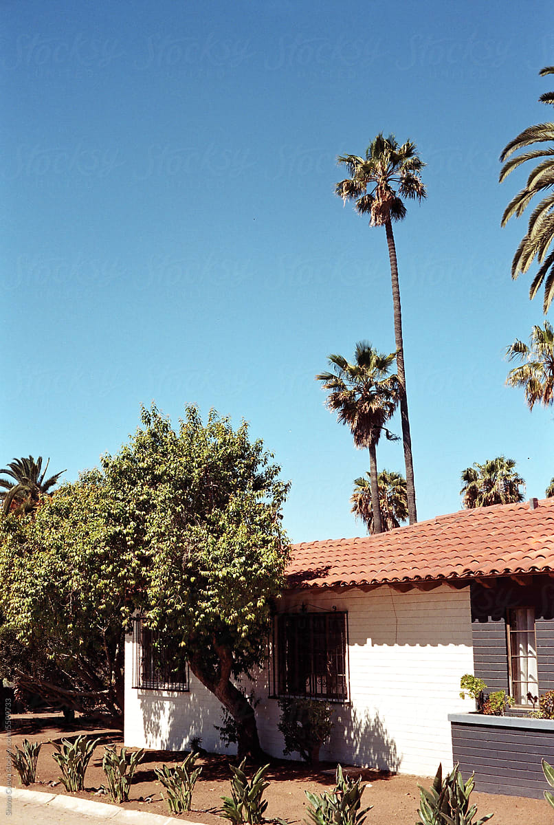 House with adobe roof surrounded by trees and palm trees