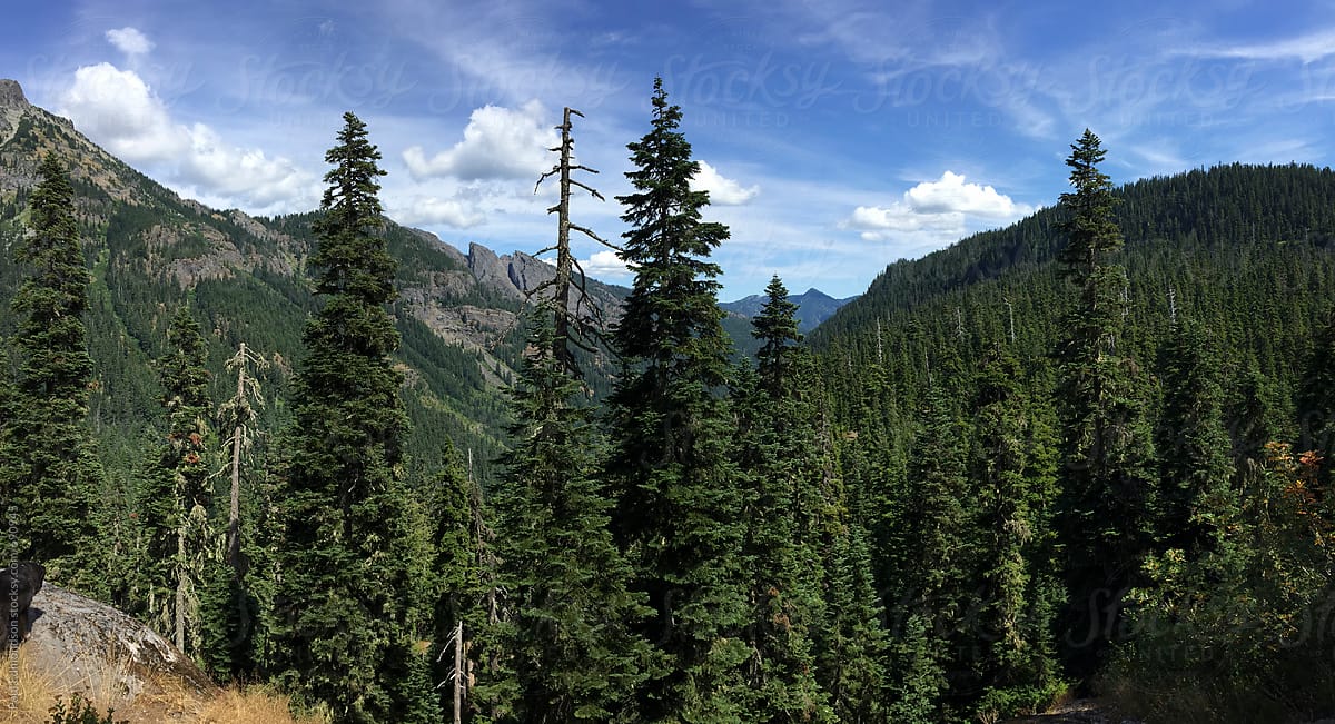 Mountains and forest in Alpine Lakes Wilderness, WA