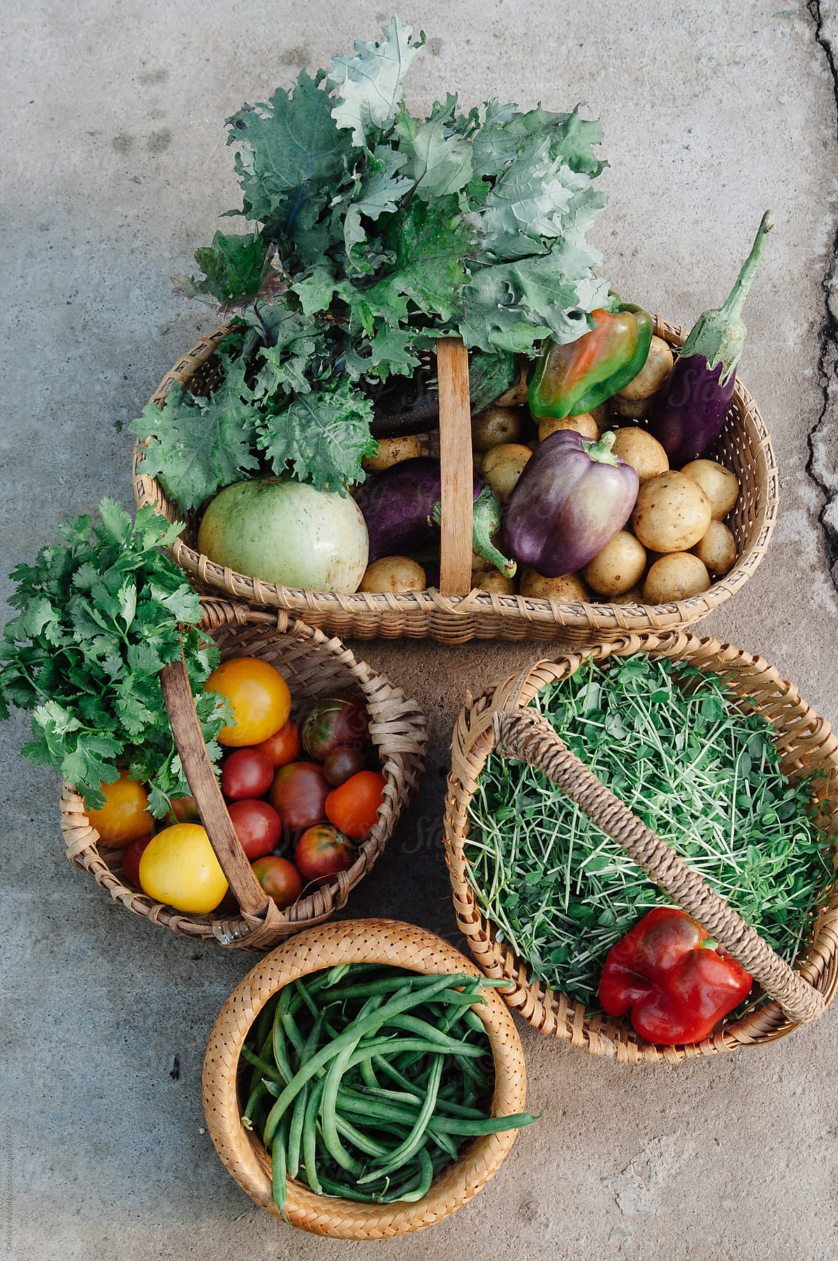 baskets of freshly harvested vegetables