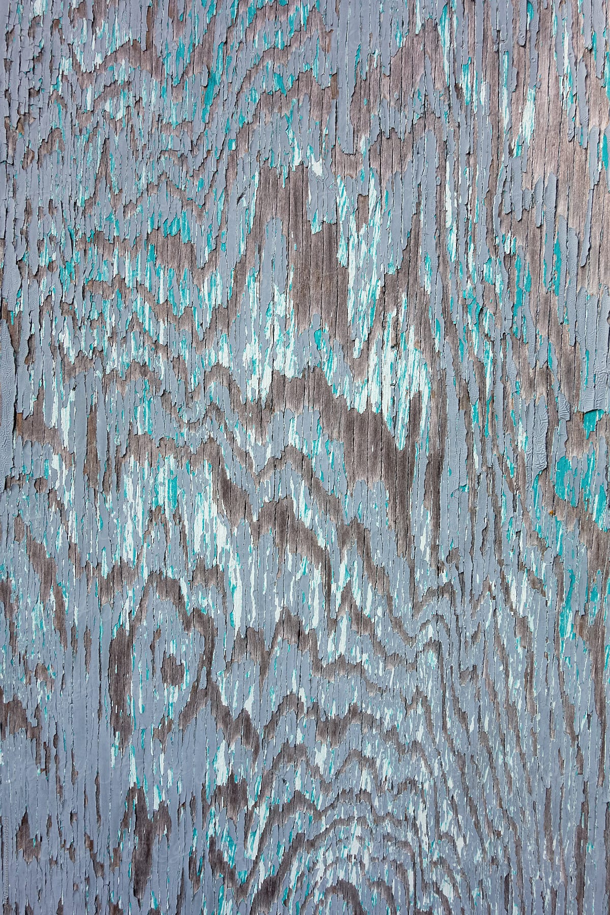 Section of Distressed Blue Wood Shed