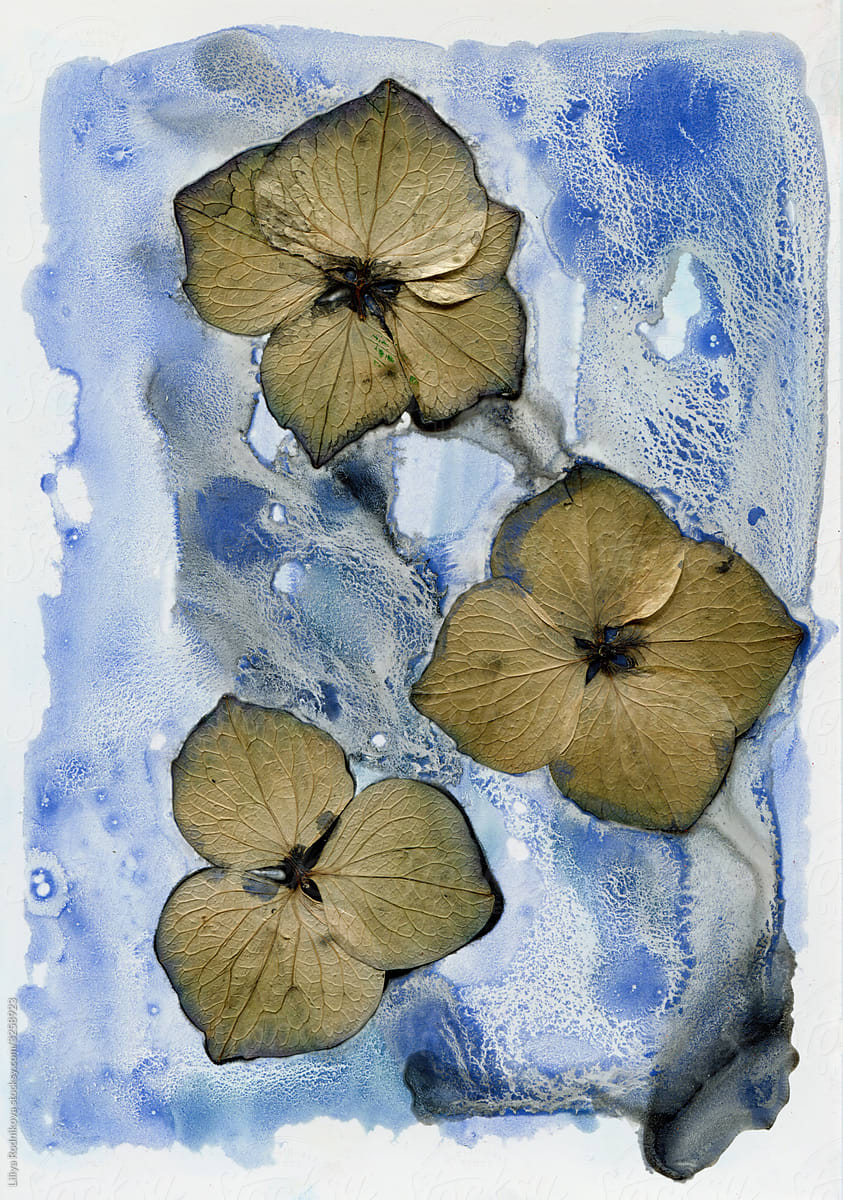 Abstract blue art with dried flowers