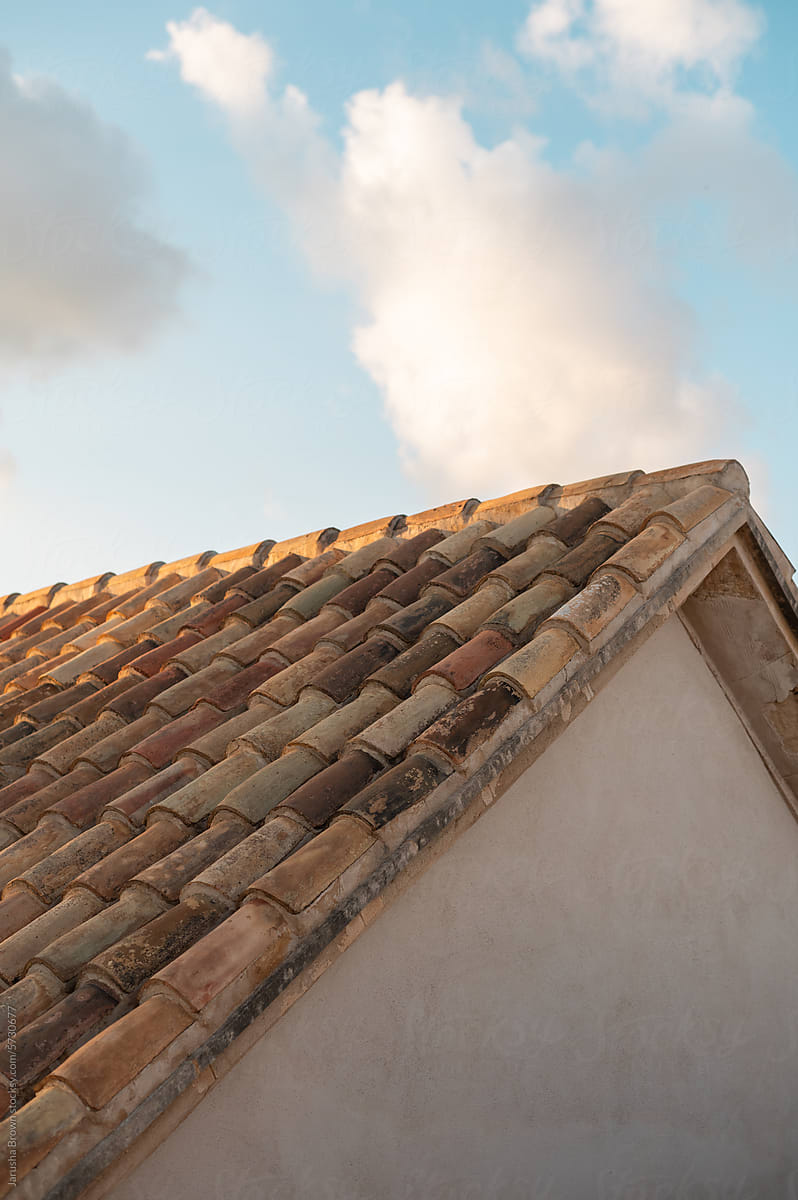 Terracotta tiled roof with golden hour light.