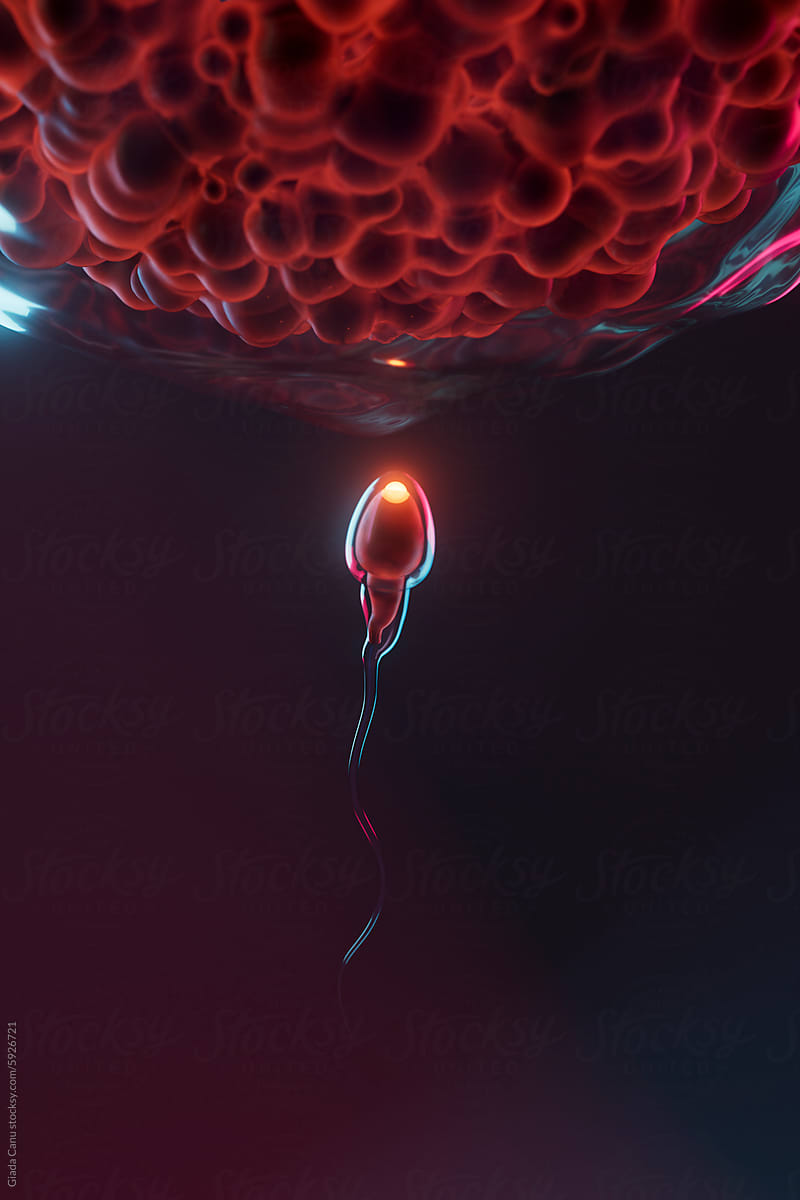 3D Render of Sperm Cell Ascending Towards Egg Cell