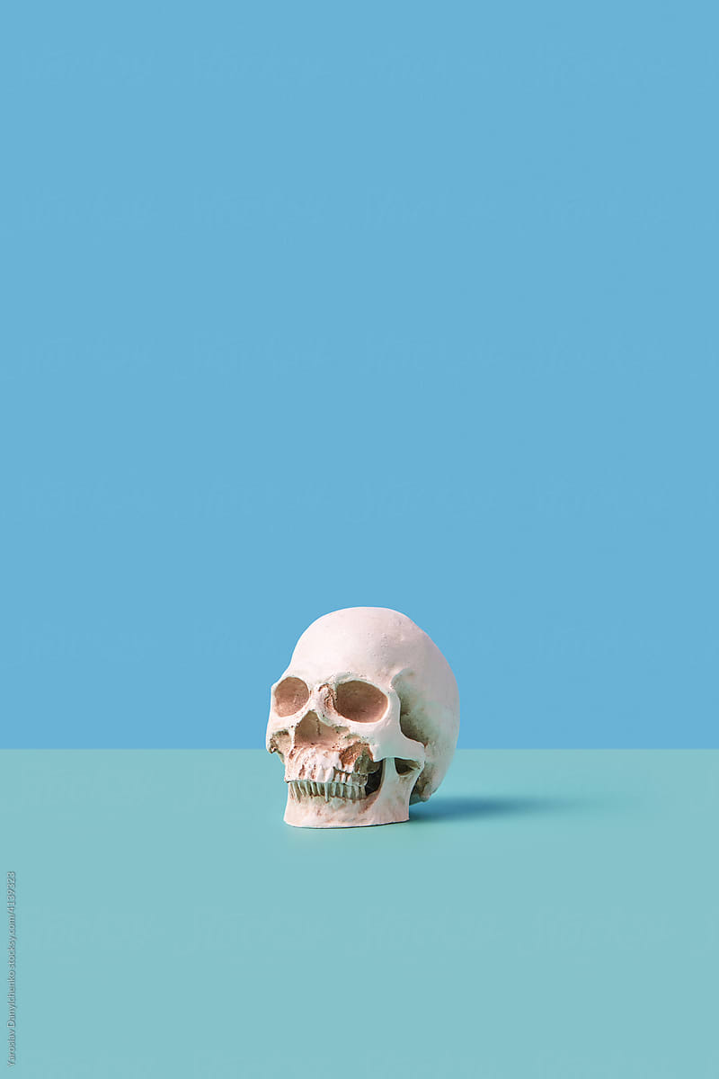 Anatomical skull