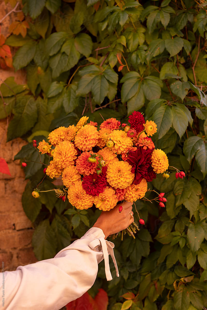 woman holding autumn bouquet of flowers