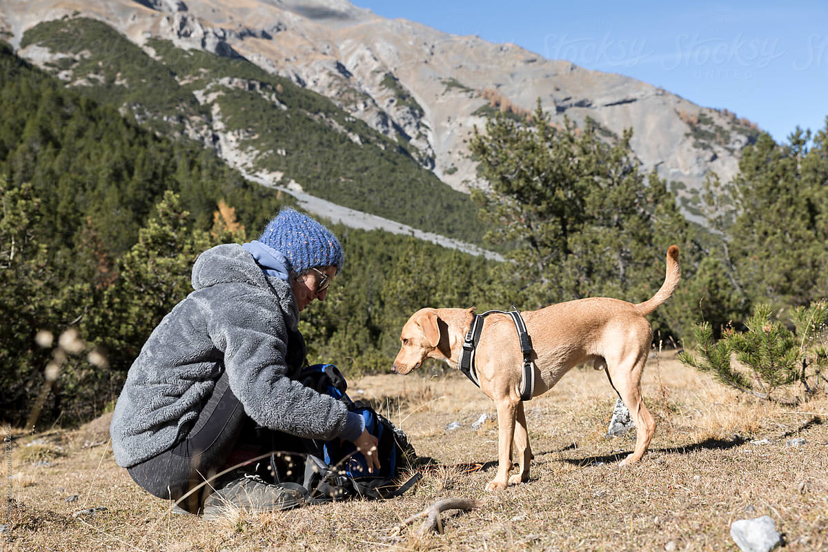 dog with owner in a mountain landscape