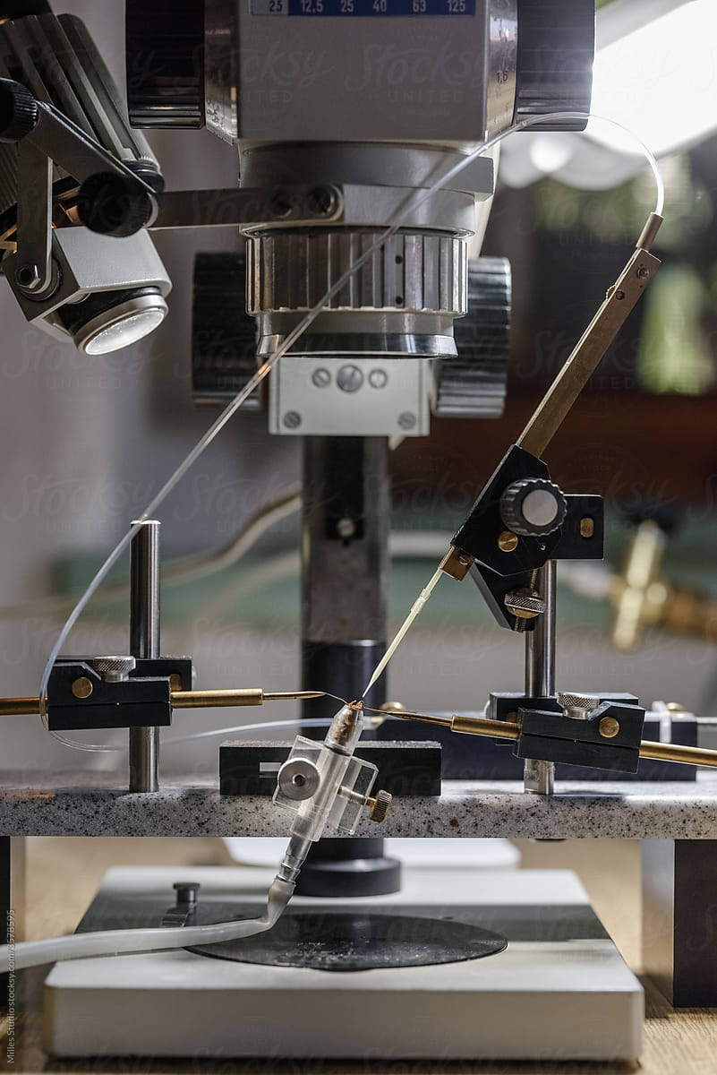 Microscope with queen bee in laboratory