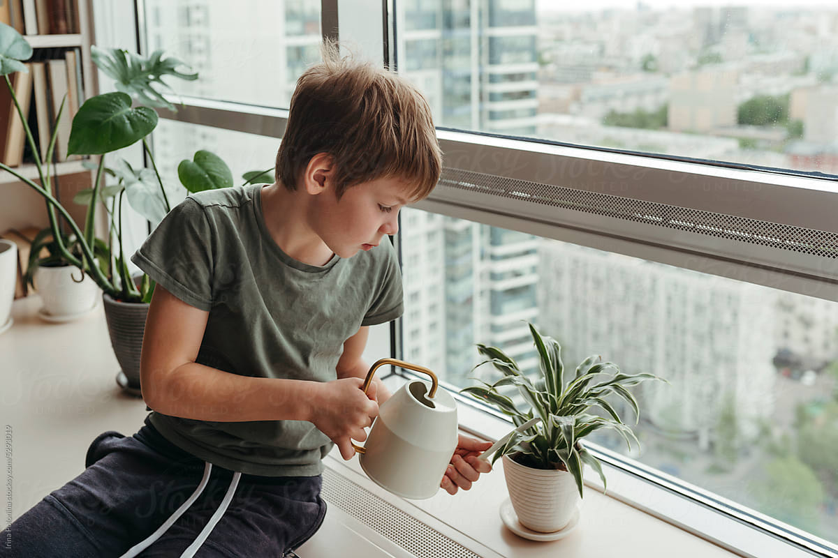 Kid takes care of green plants at modern home.