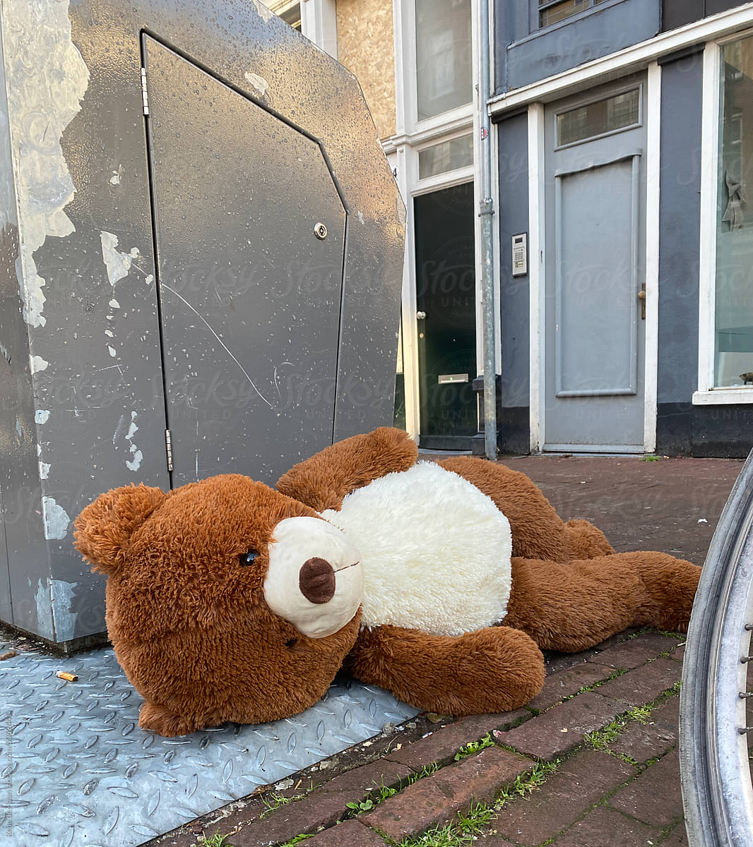 toy bear dumped at street