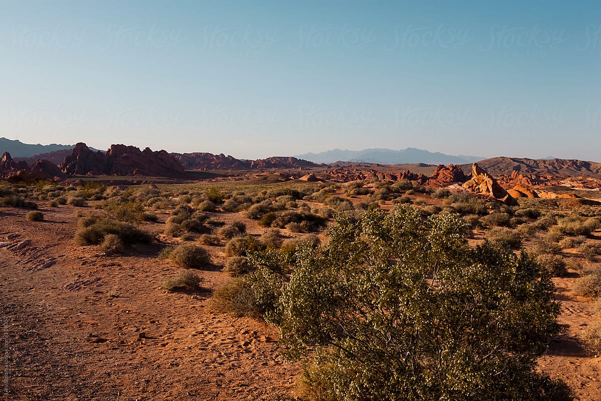 Nevada desert scene at sundown