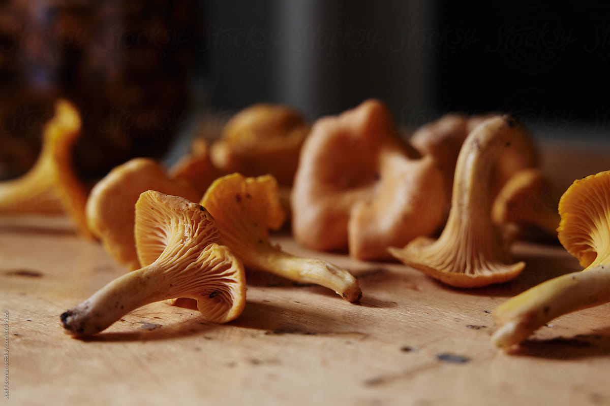 chanterelle on a rustic table shallow depth of field