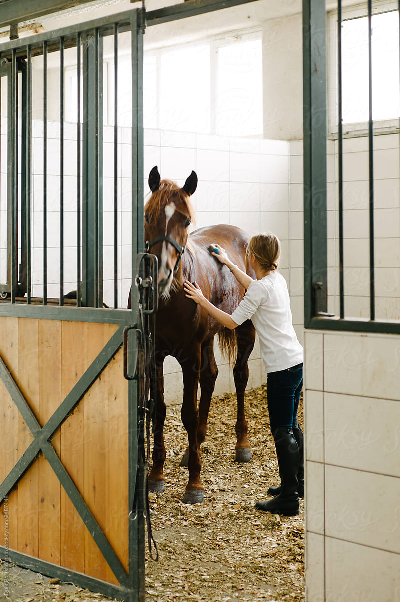 Woman brushing horse in stall