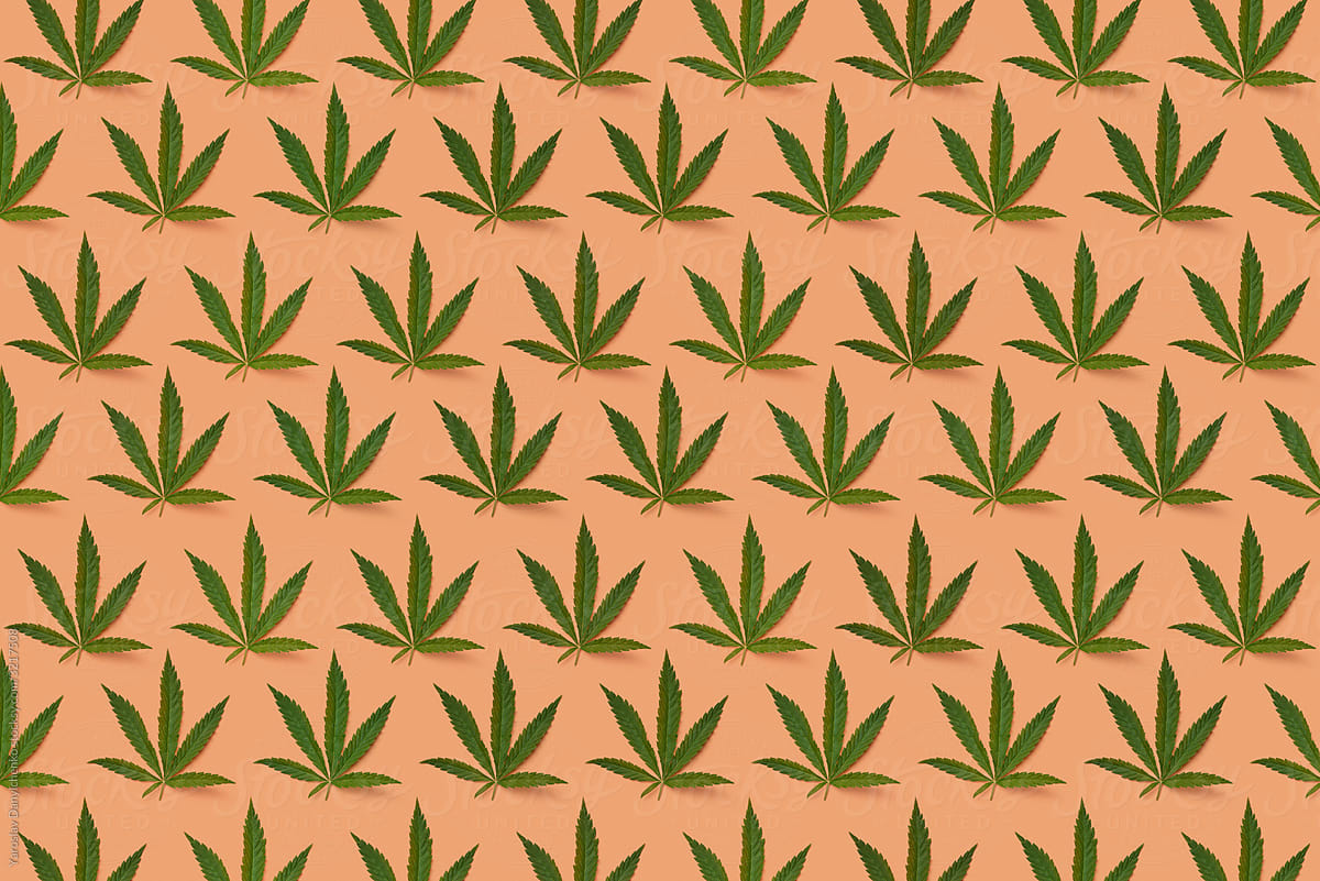 Green natural cannabis leaf pattern.