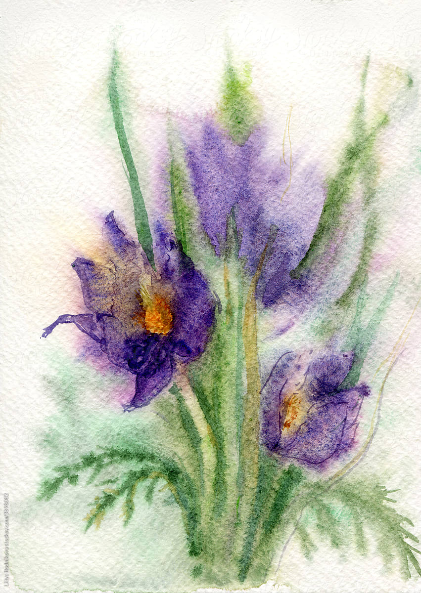 Watercolor flowers sketch drawing