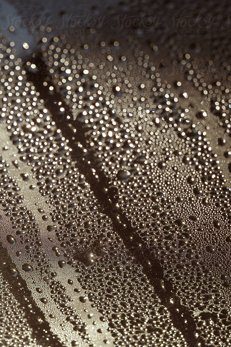 Water Droplets on Car