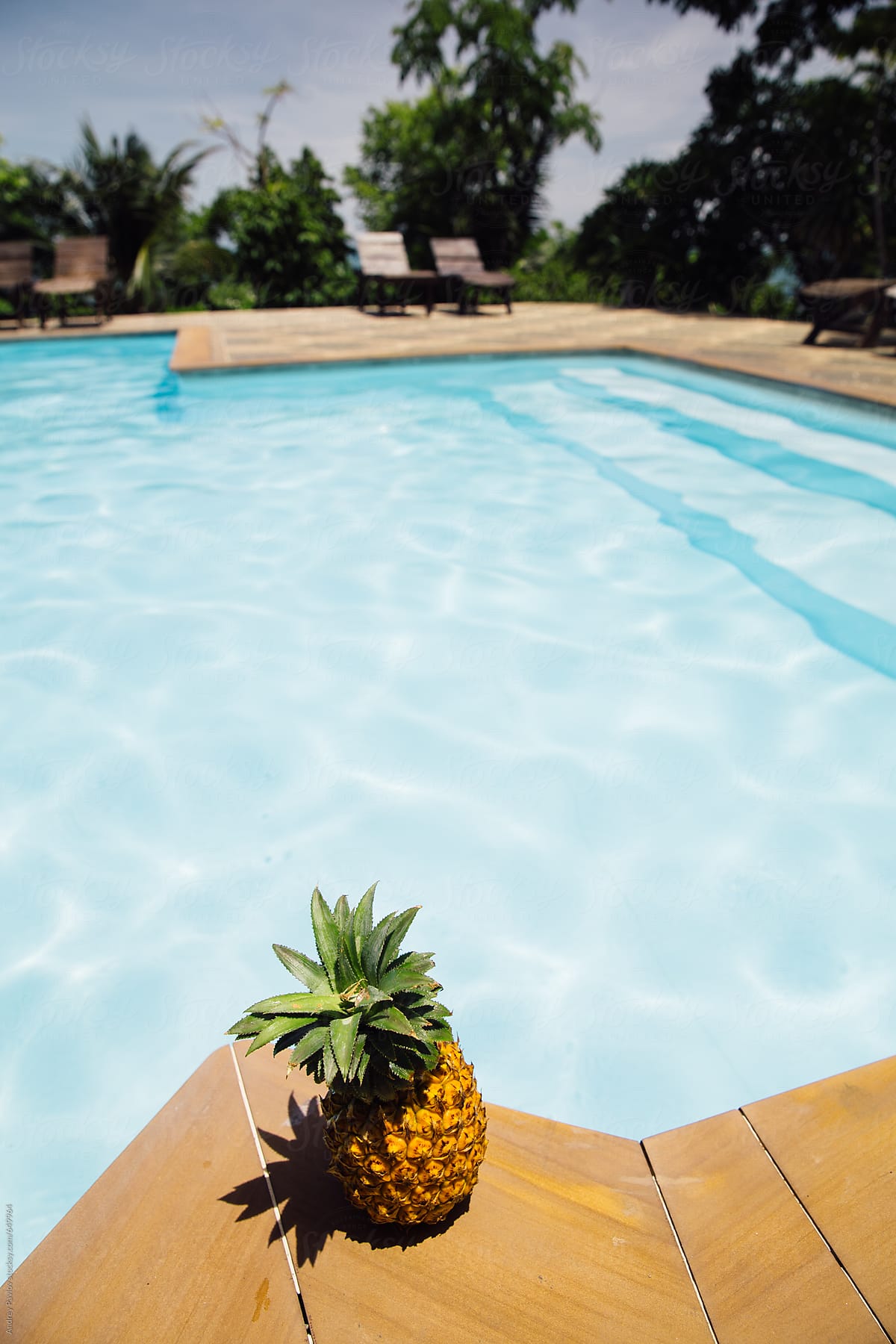 Pineapple on the edge of the pool