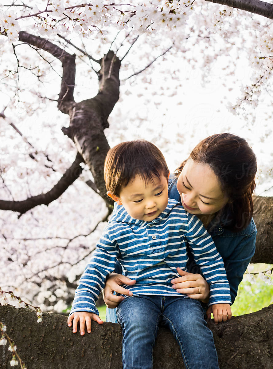 Japanese mother and toddler, enjoying cherry blossoms in spring