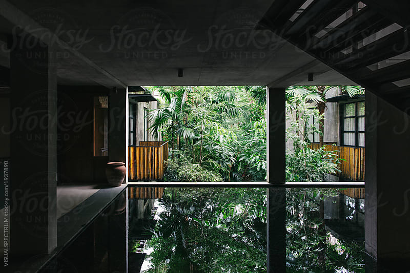 Minimalist Modern Architecture in the Tropics