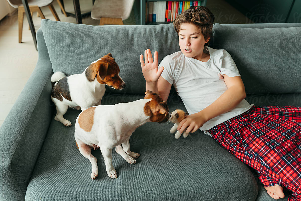Teen boy plays with pets dogs.