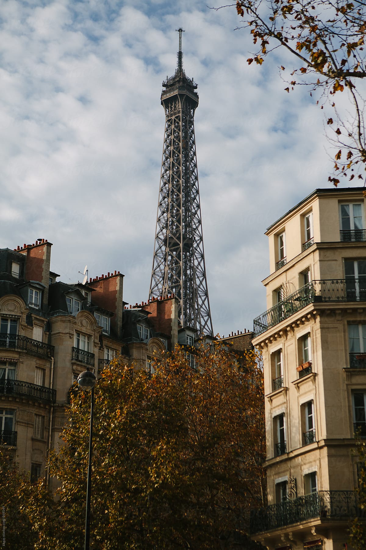 The Eiffel tower seen behind historic buildings, Paris.
