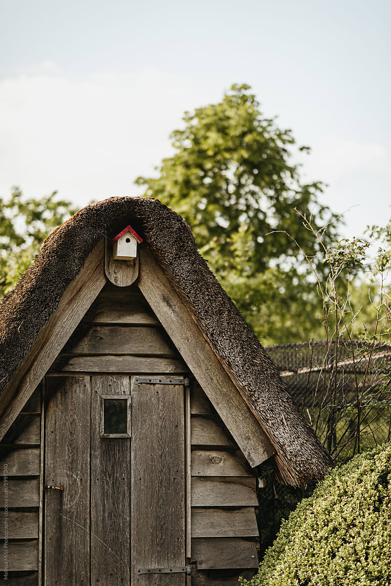 Thatched roof wooden shed with birdhouse