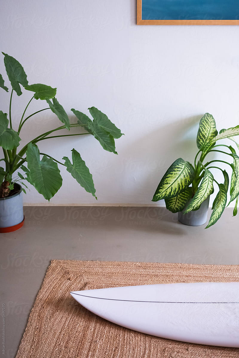 A surfboard next to plants on the floor of an apartment