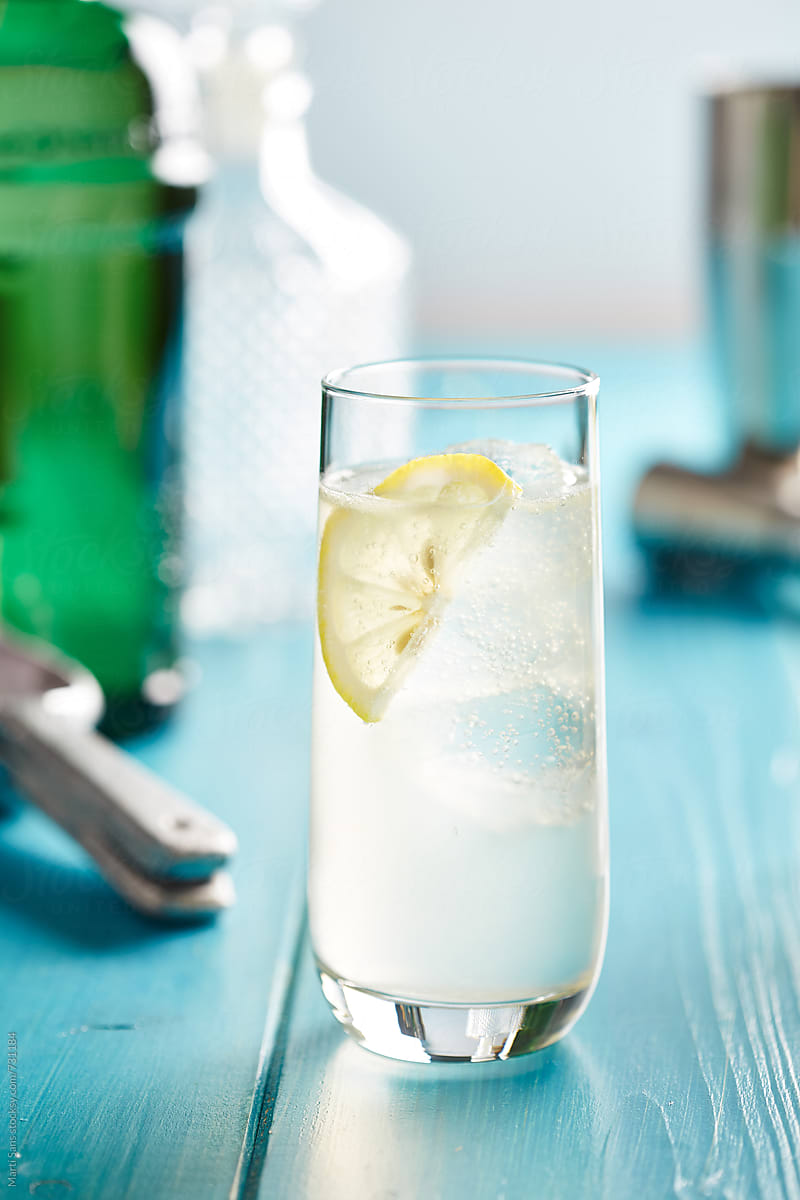 Gin fizz cocktail with lemon slice