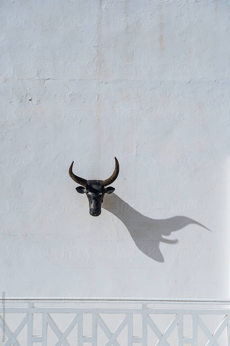 Wall of building with bull head sculpture in daylight